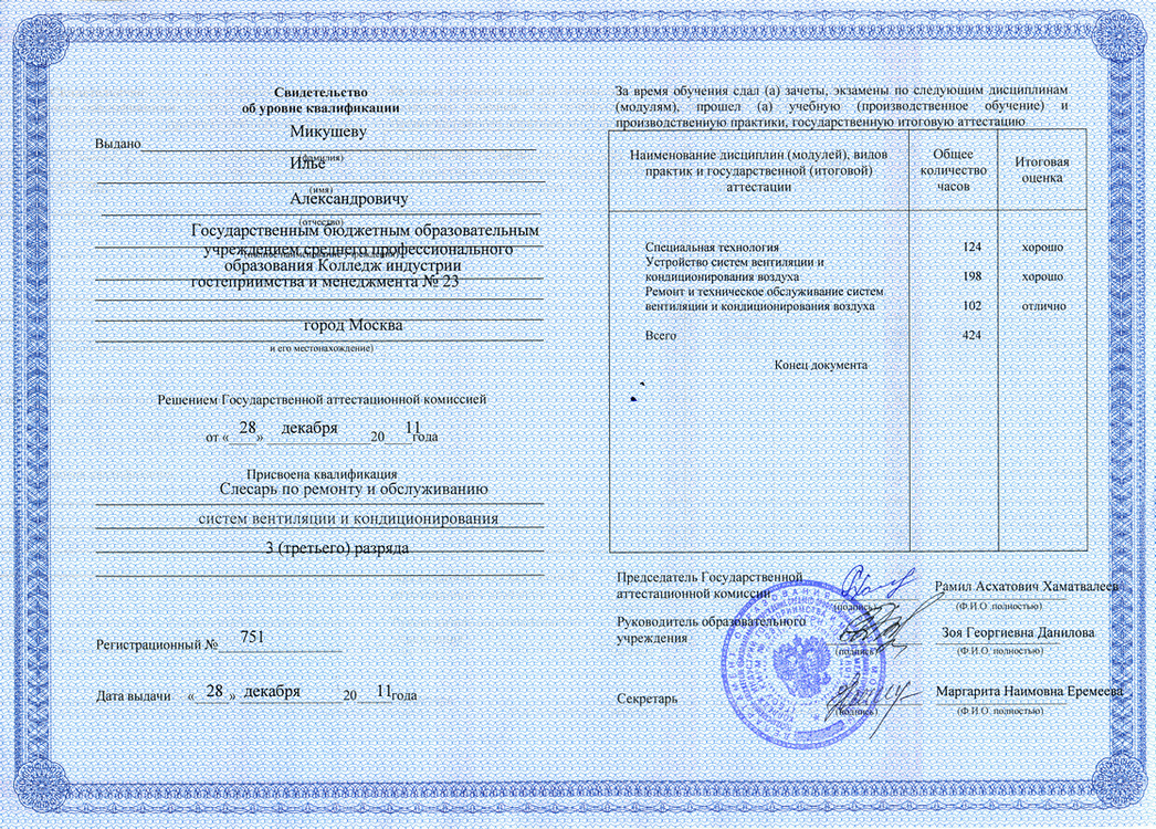 Выданные учебном центром. Профессиональная подготовка документ. Свидетельство по профессиональной подготовке.